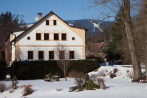 Apartman 21